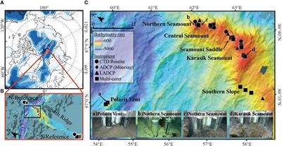 Drivers of pelagic and benthic microbial communities on Central Arctic seamounts